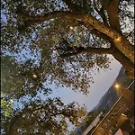 Paraiso Andaluz